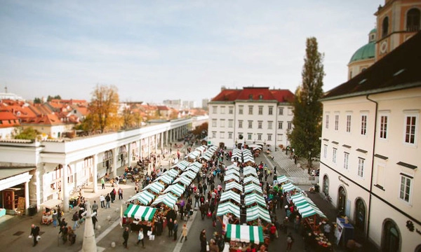 festiwal czekolady łączy w sobie dwie ulubione rzeczy