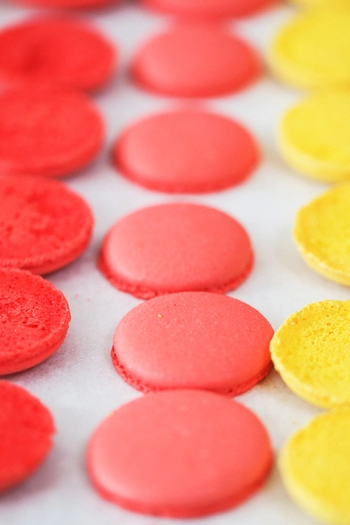 Zestaw cukierniczy Macarons